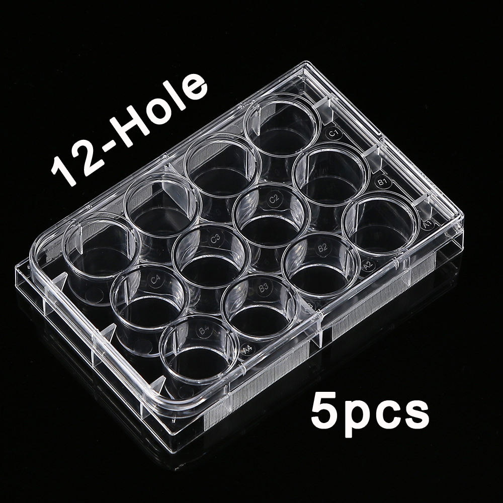 5Pcs Polystyrene 12 Well Petri - Medical Lab Supplies recensione e prezzo