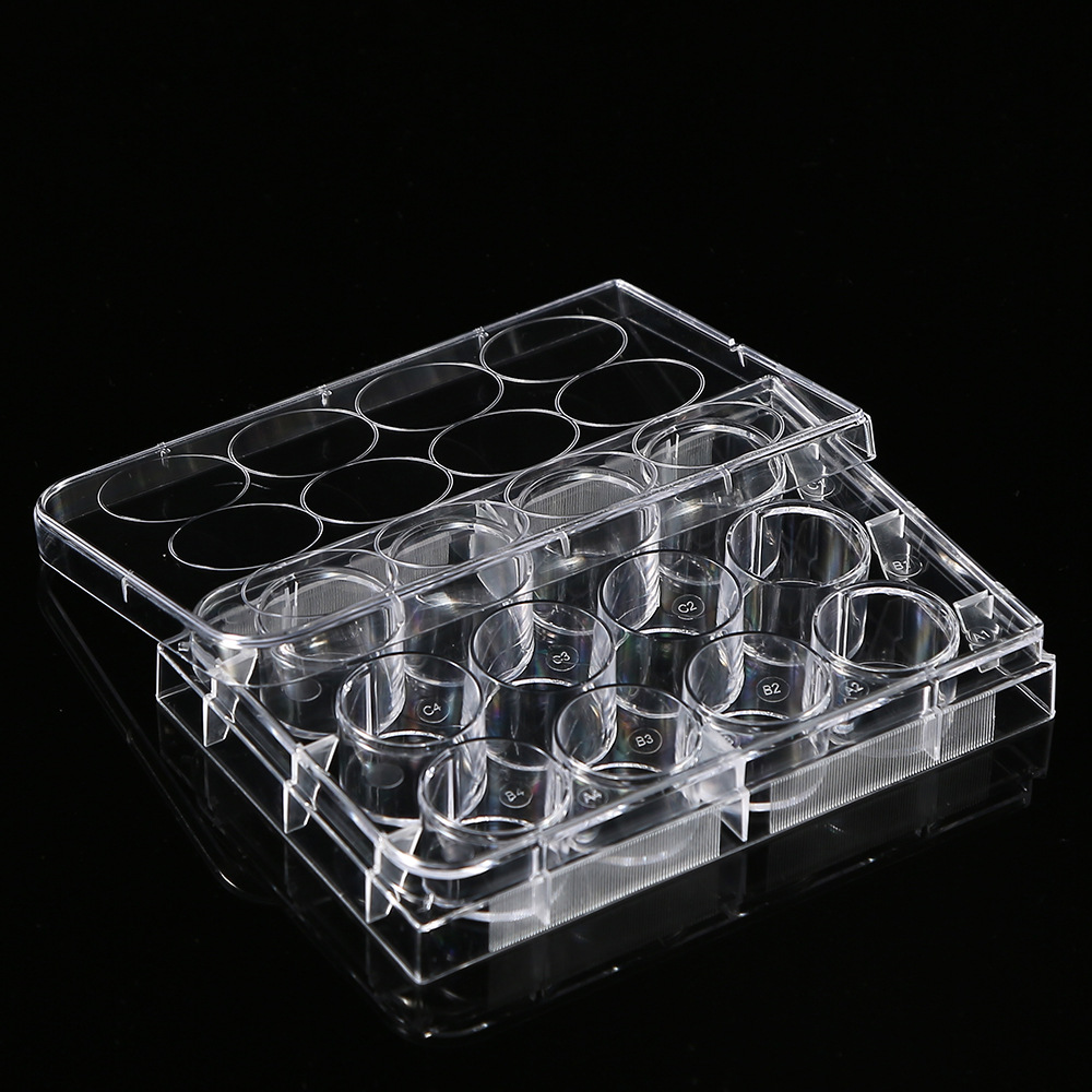 5Pcs Polystyrene 12 Well Petri - Medical Lab Supplies recensione e prezzo