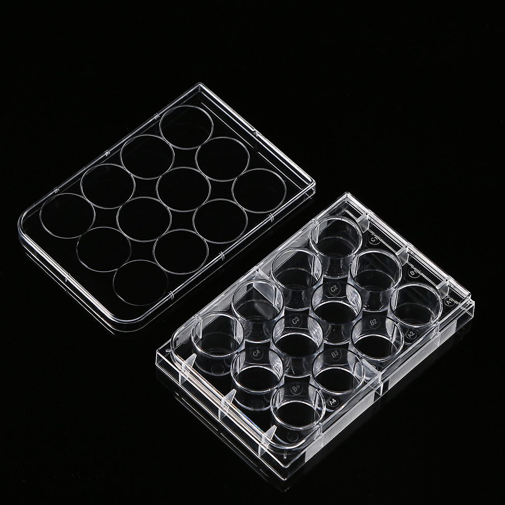 5Pcs Polystyrene 12 Well Petri - Medical Lab Supplies recensione e prezzo