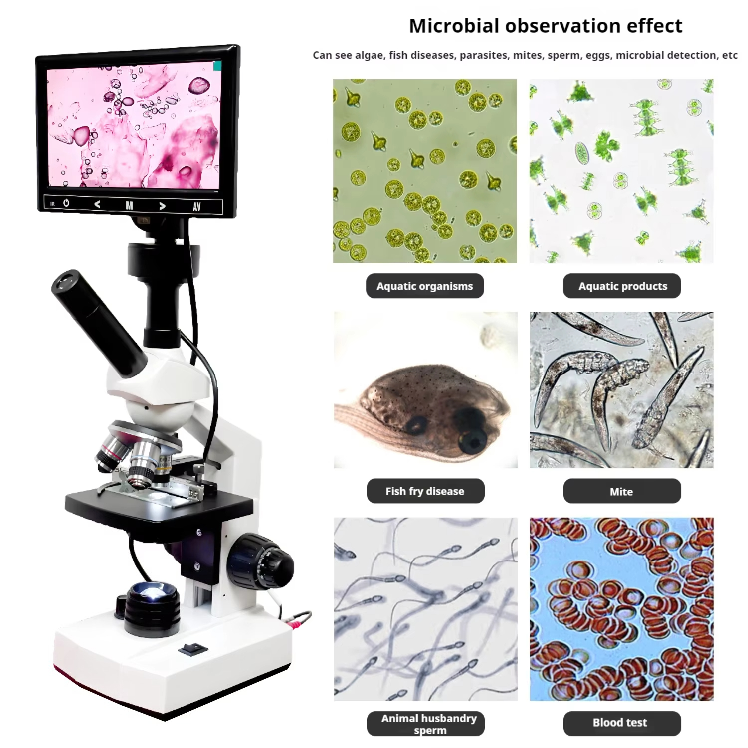 Top Selling HD Screen Digital  - Medical Laboratory recensione e prezzo