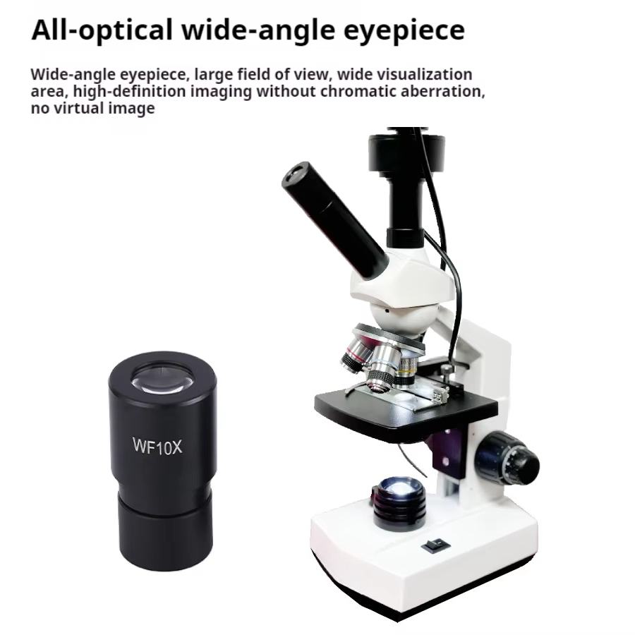 Top Selling HD Screen Digital  - Medical Laboratory recensione e prezzo
