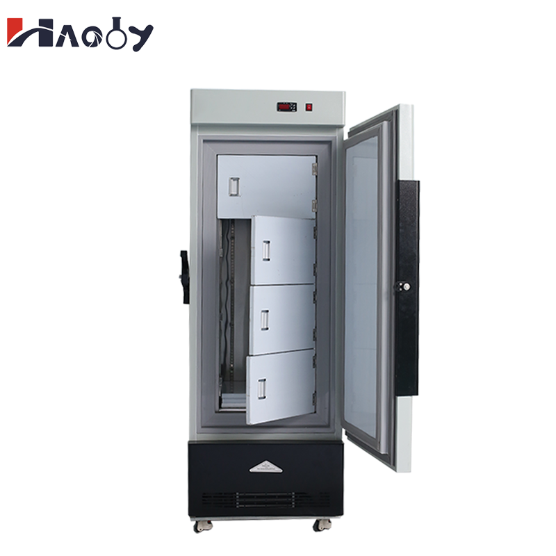 Wholesale 158L Medical Freezer - Medical Lab Iso recensione e prezzo
