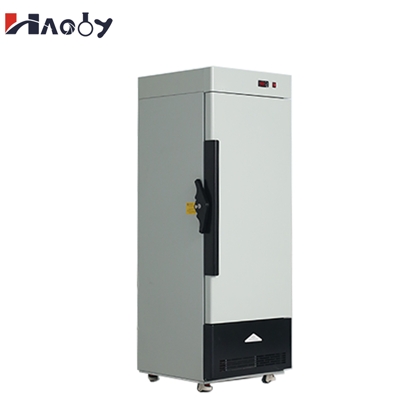 Wholesale 158L Medical Freezer - Medical Lab Iso recensione e prezzo