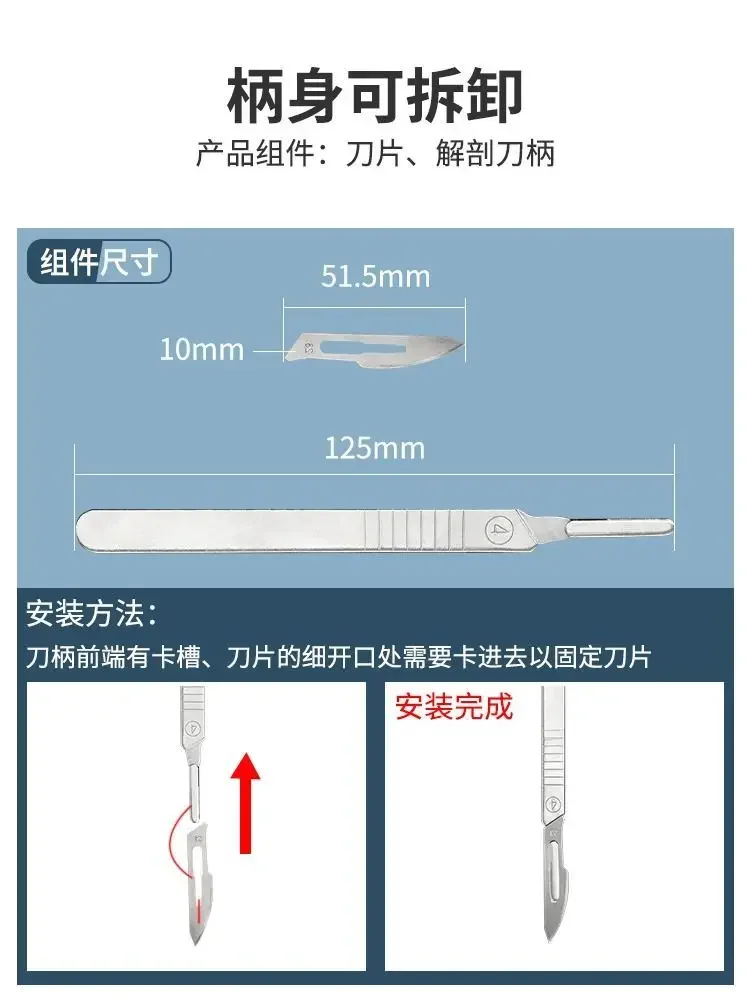 Stainless Steel Insect Dissect - Medical Lab Equipment recensione e prezzo