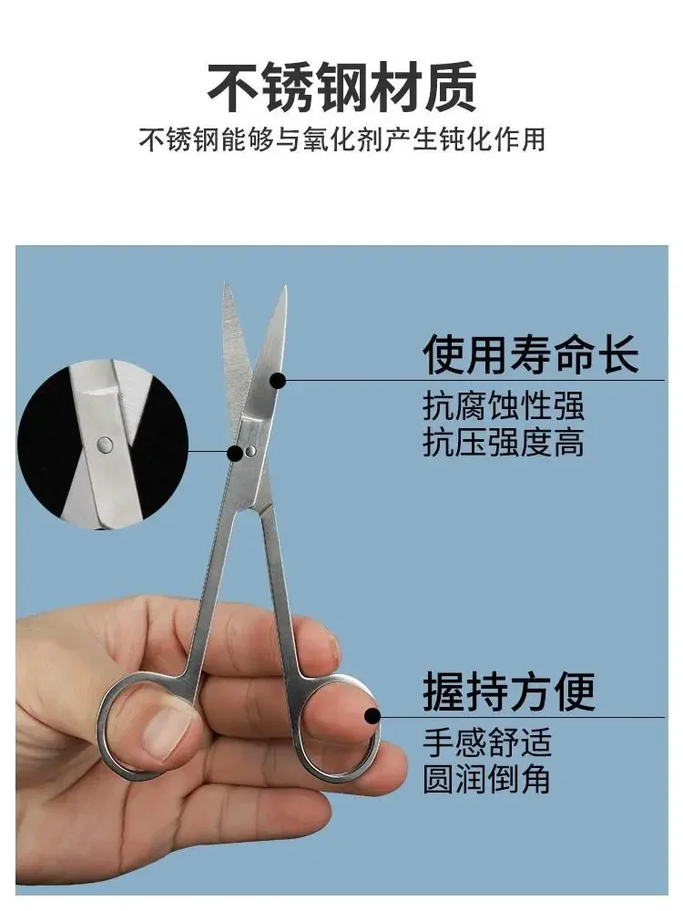 Stainless Steel Insect Dissect - Medical Lab Equipment recensione e prezzo