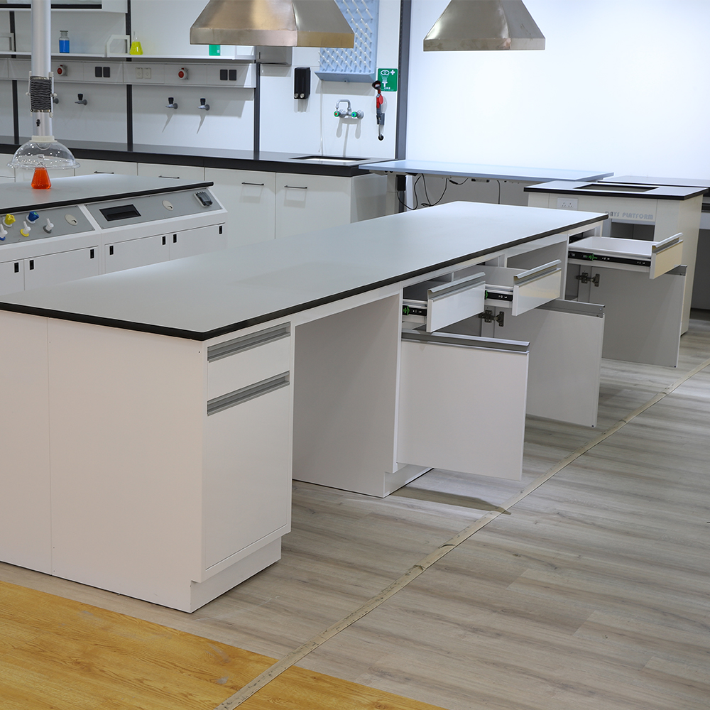 Acid Alkali Resistant Steel In - Medical Lab Iso recensione e prezzo